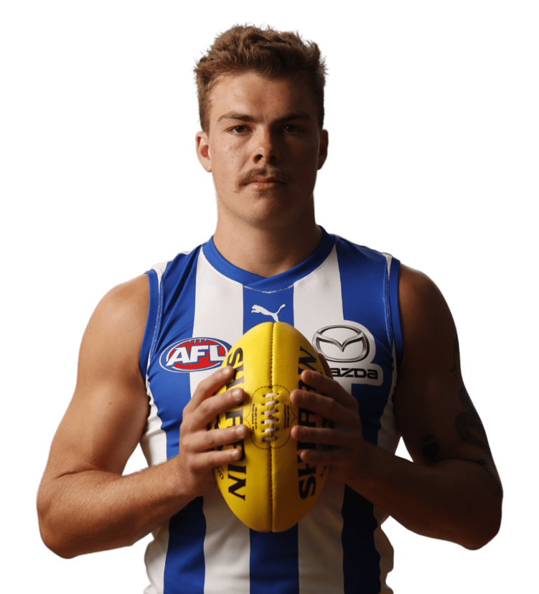 https://www.hellosolar.com.au/wp-content/uploads/2023/04/NMFC-2-min-768x846.png